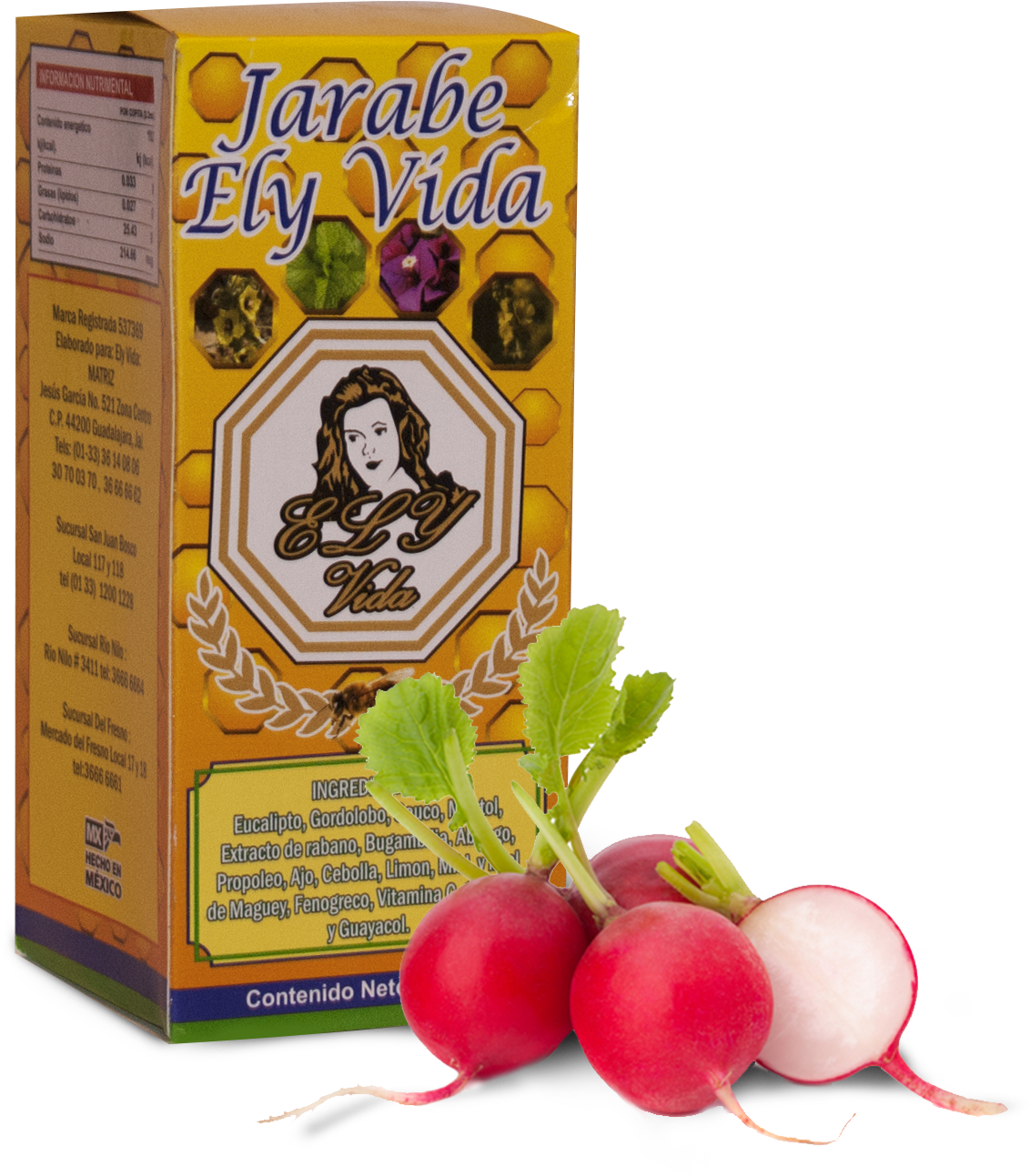 Jarabe-elyvida - Radish Clipart (1952x1718), Png Download