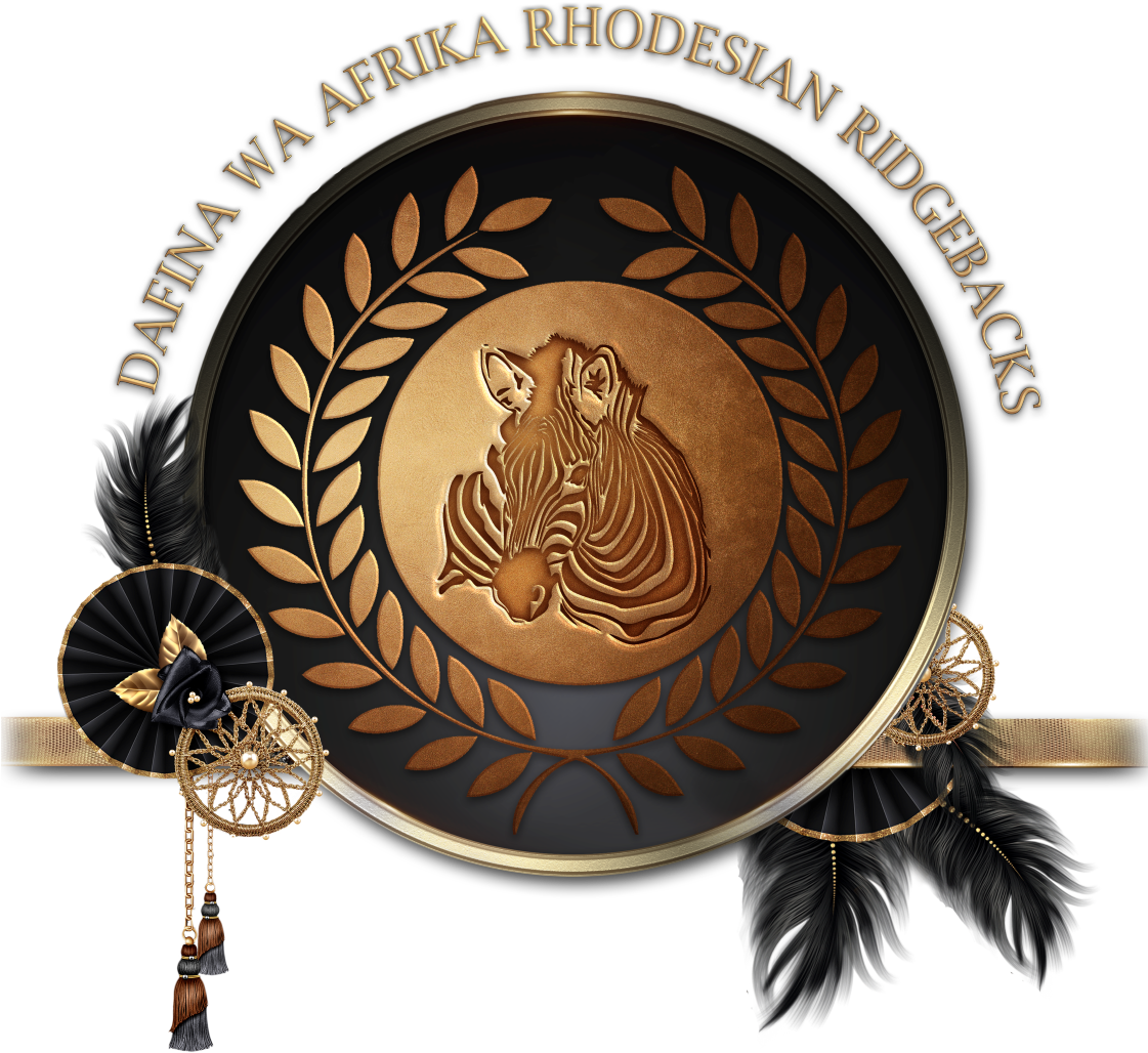 Zebraglamkopielarge - Wa Clipart (1120x1080), Png Download