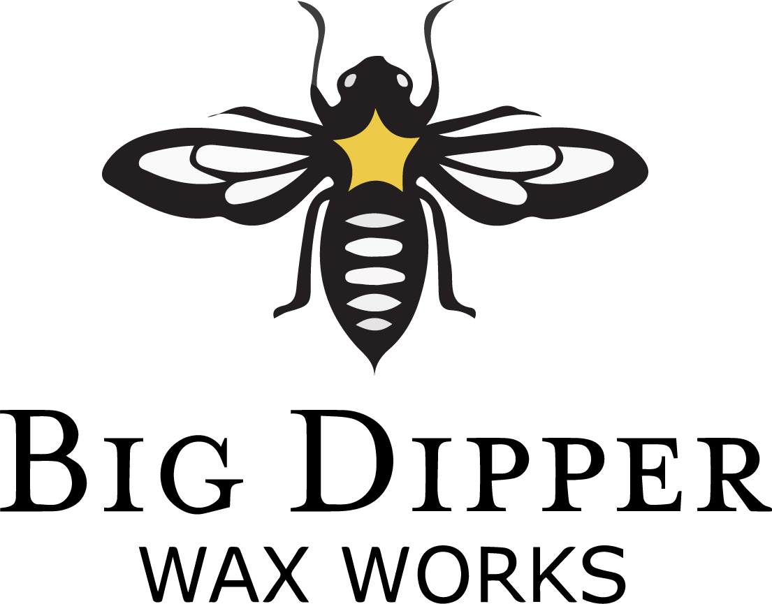 Net-winged Insects Clipart (1105x865), Png Download