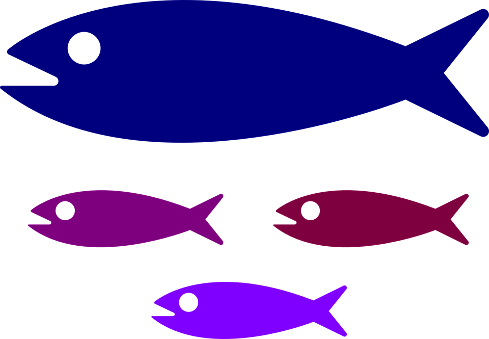 Shoal Fish Fish Family Water Kids Swimming Parent - Small Medium Large Fish Clipart (960x665), Png Download