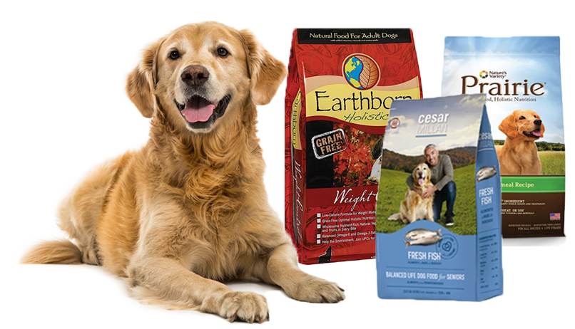 Los Perros Con Sobrepeso Tienen Una Mayor Incidencia - Dhobi Ka Kutta Na Ghar Ka Ghat Ka Clipart (818x464), Png Download