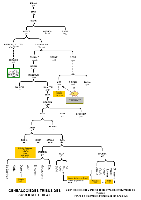 Arbre Généalogique Des Banou Souleim & Banou Hilal - Arbre Genelogic De Mohamed Clipart (583x830), Png Download