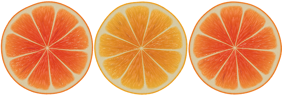 Orange, Slices, Design, Abstract, Banner, Vector, Fruit - Orange Clipart (960x330), Png Download