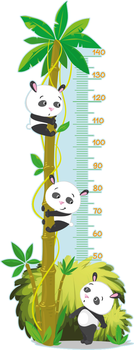 Sticker Toise Arbre Des Pandas Ambiance Sticker Col - Medidor Niños Panda Mono Clipart (457x1188), Png Download