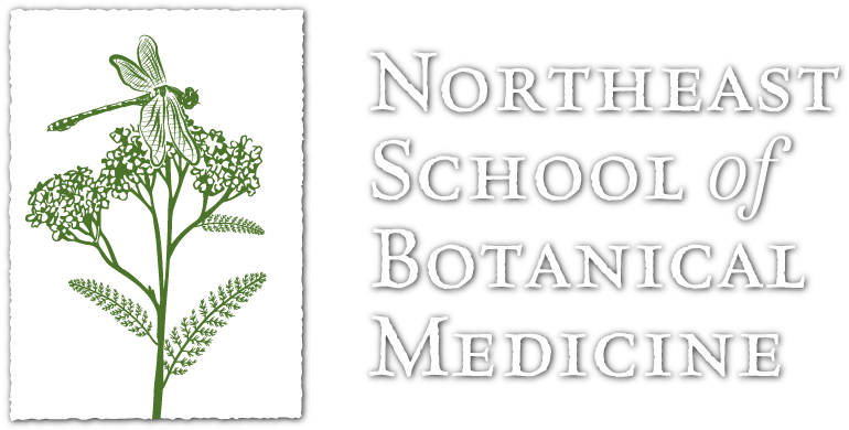 My Experience At Burning Man 2016 Or I Went To Burning - Approved Driving Instructors National Joint Council Clipart (792x399), Png Download