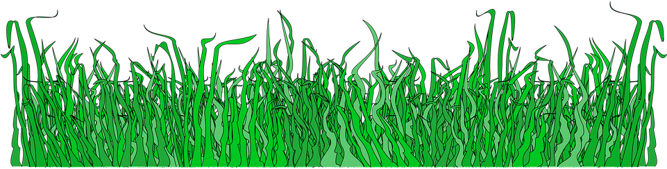 Border Divider Grass - Graphic Dividers Green Clipart (960x480), Png Download