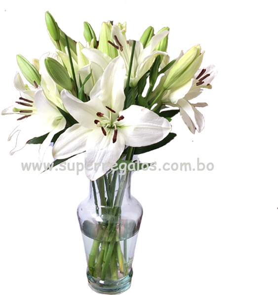 Florero Con Lirios Blancos Superregalos - Bouquet Clipart (720x660), Png Download