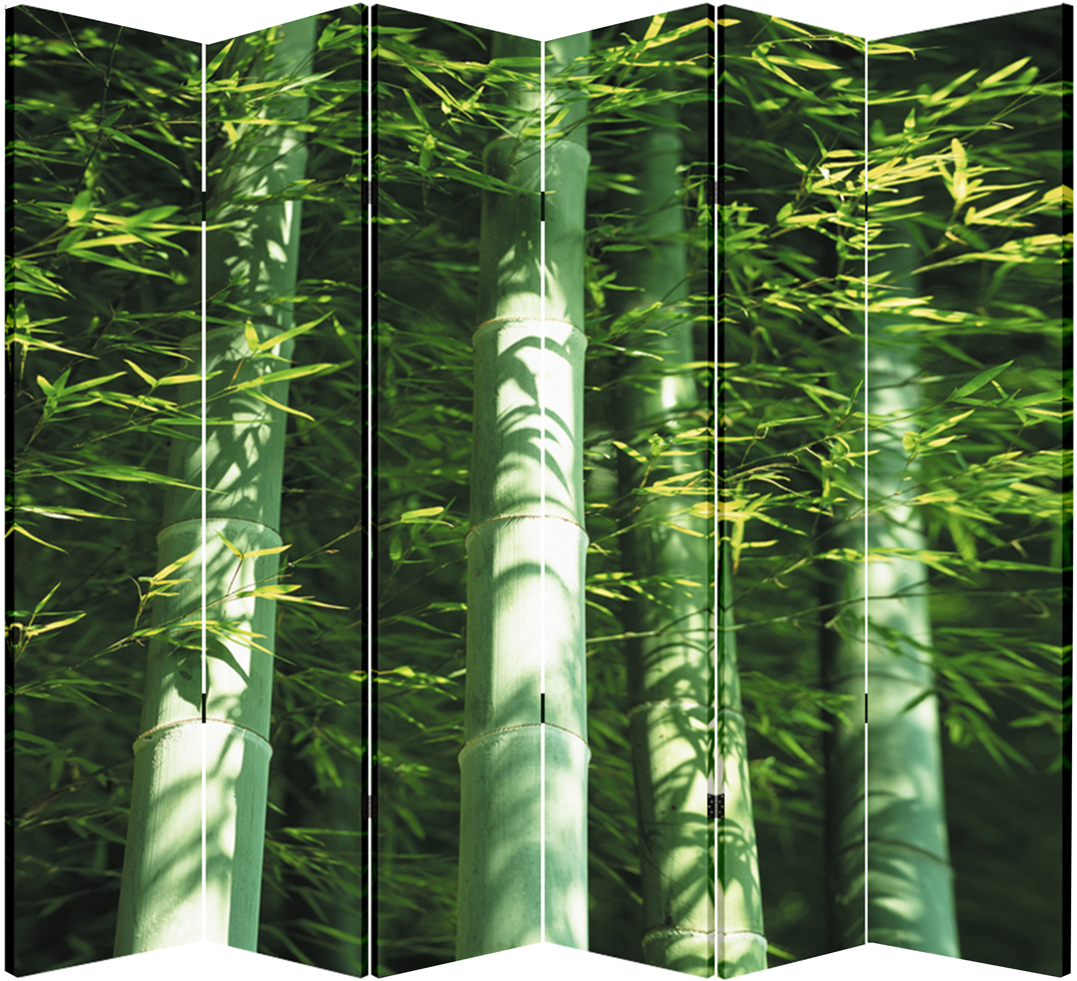 6 Panel Folding Screen Canvas Divider- Bamboo - Rainforest Clipart (2296x2200), Png Download