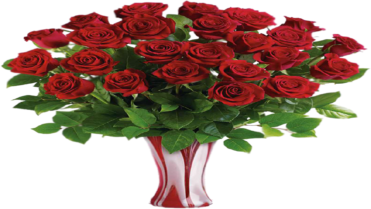 Garden Roses Clipart (1280x720), Png Download