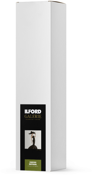 Canvas Natural - Ilford Clipart (503x705), Png Download