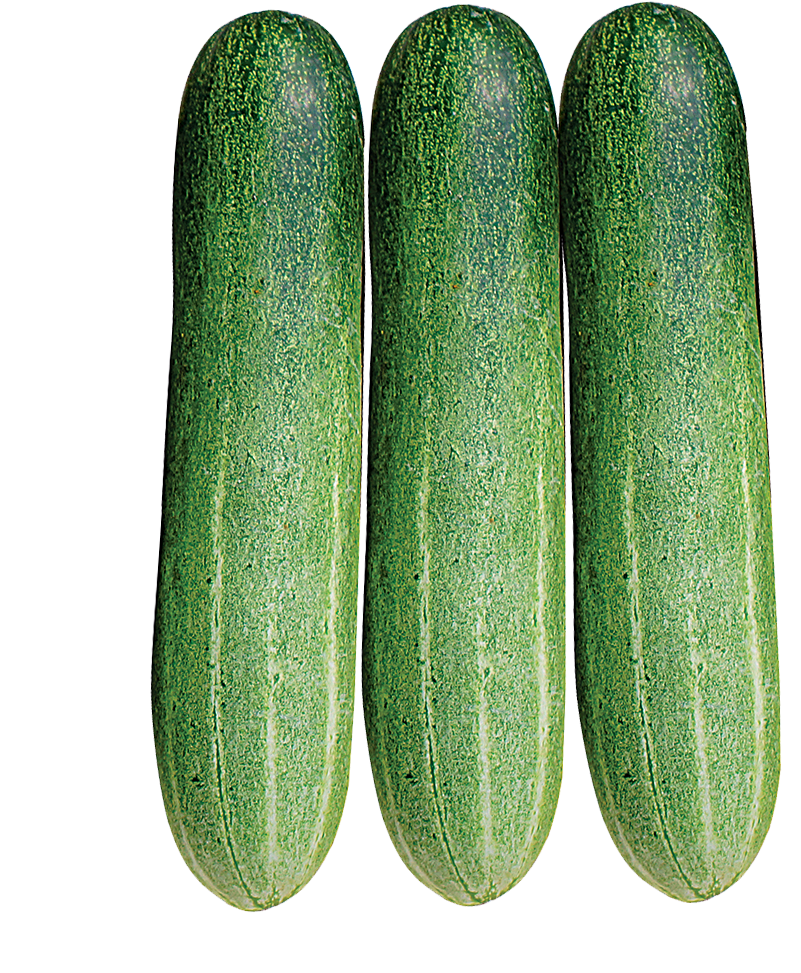 The Product Is Already In The Wishlist Browse Wishlist - Cucumber Clipart (1200x1200), Png Download