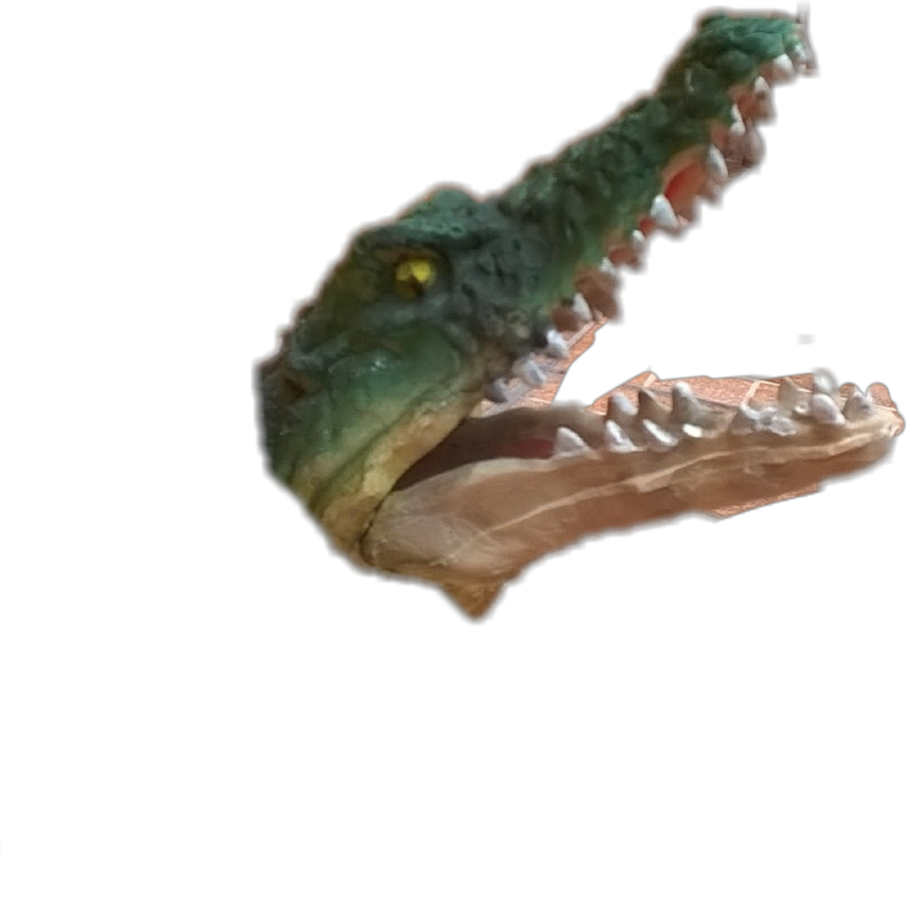 #cocodrilo - Saltwater Crocodile Clipart (1024x1039), Png Download