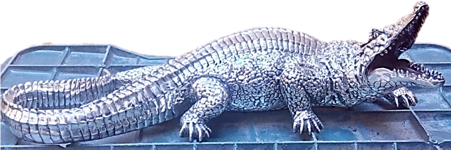 American Crocodile Clipart (904x370), Png Download