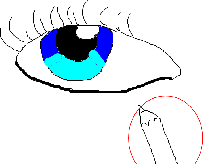 Lã¡pis De Olho Clipart (1020x608), Png Download