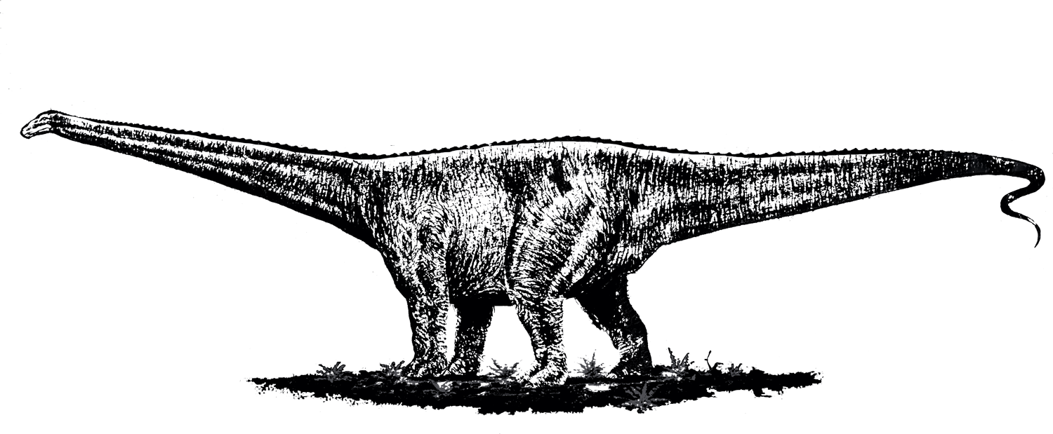 Una Conspiración Educativa - Tyrannosaurus Clipart (1500x619), Png Download
