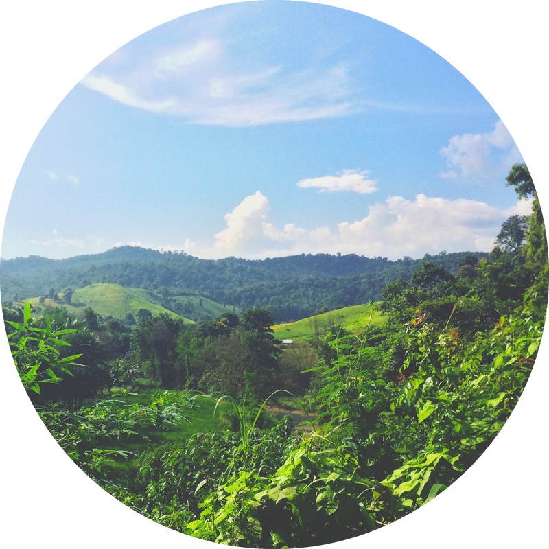 Pai - Circle Clipart (800x800), Png Download