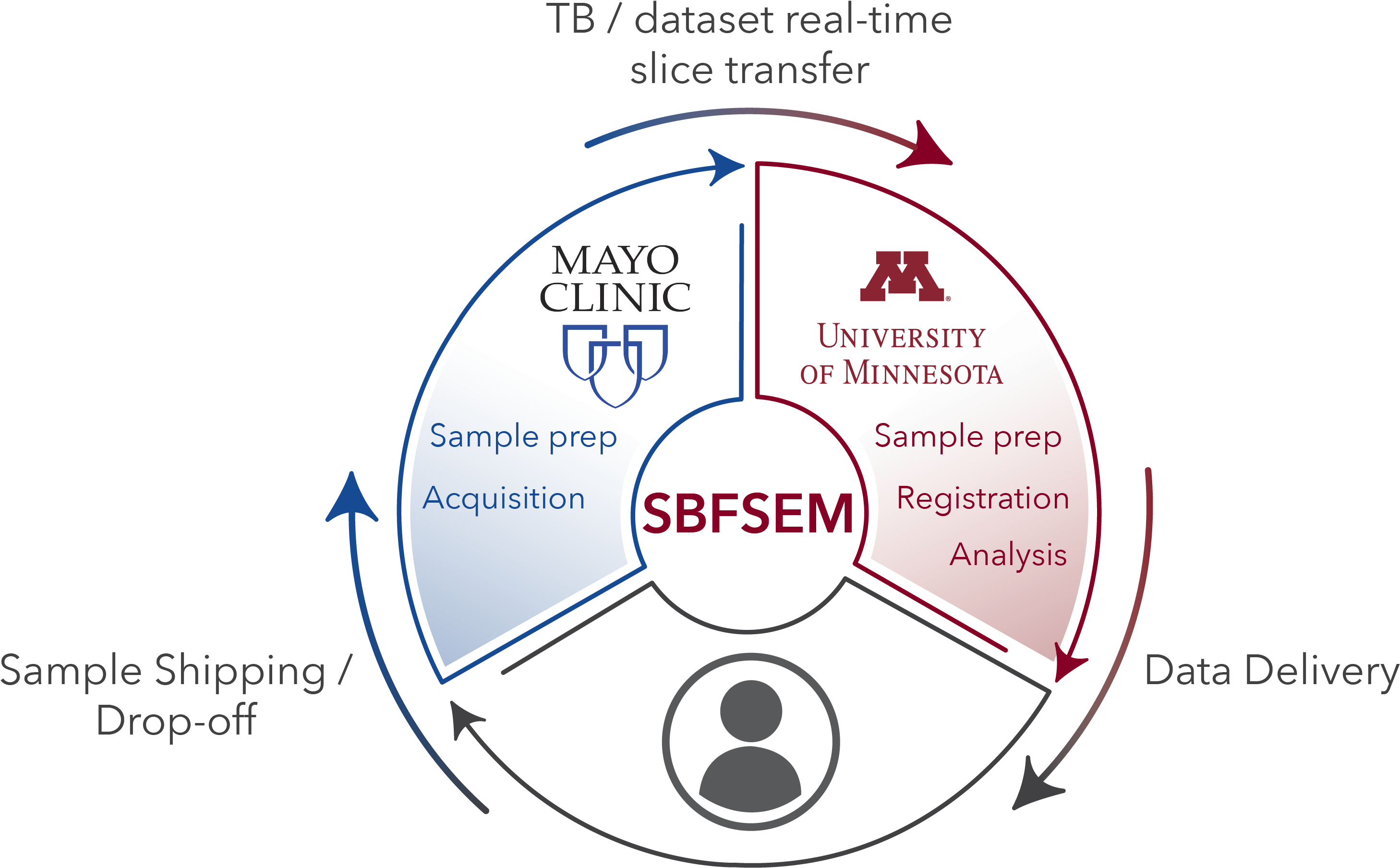 Face Electron Microscopy And Data Sharing, Thanks To - University Of Minnesota Clipart (2921x1816), Png Download