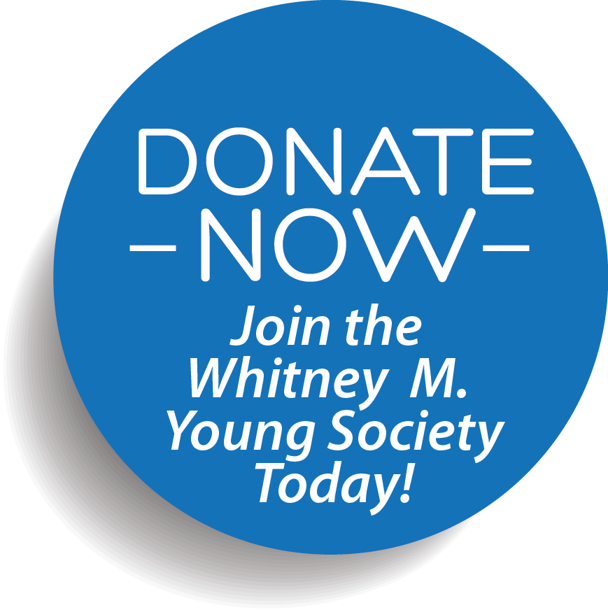 Donate Now Button Blue Whitney M - Agence De L Eau Loire Bretagne Clipart (869x875), Png Download