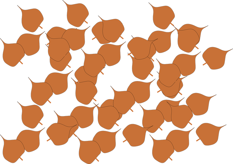 Fall Clipart Autumn Season - Fall Leaves Clip Art - Png Download (960x675), Png Download