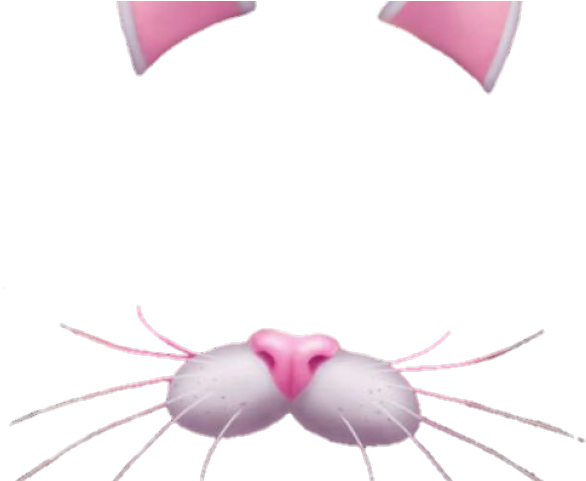 Snapchat Filters Clipart Snap Chat - Snapchat Cat Filter Png Transparent Png (640x480), Png Download