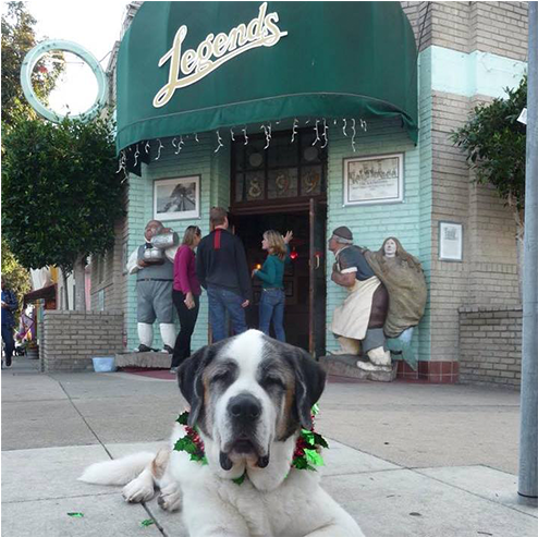 Giant Dog Breed Clipart (958x492), Png Download