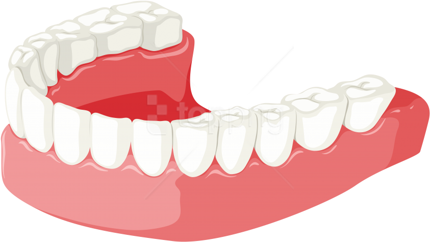 Free Png Download Lower Jaw Clipart Png Photo Png Images - Portable Network Graphics Transparent Png (850x477), Png Download
