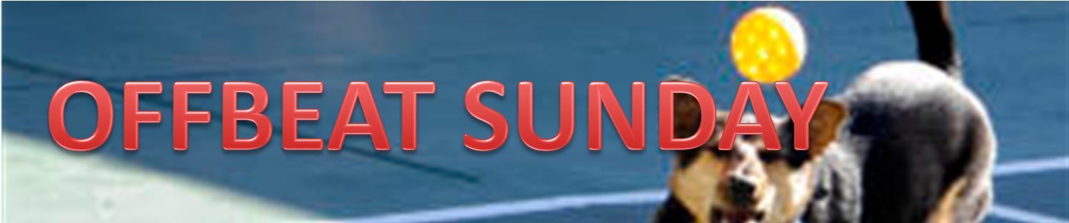 Fiat Clipart (1497x313), Png Download