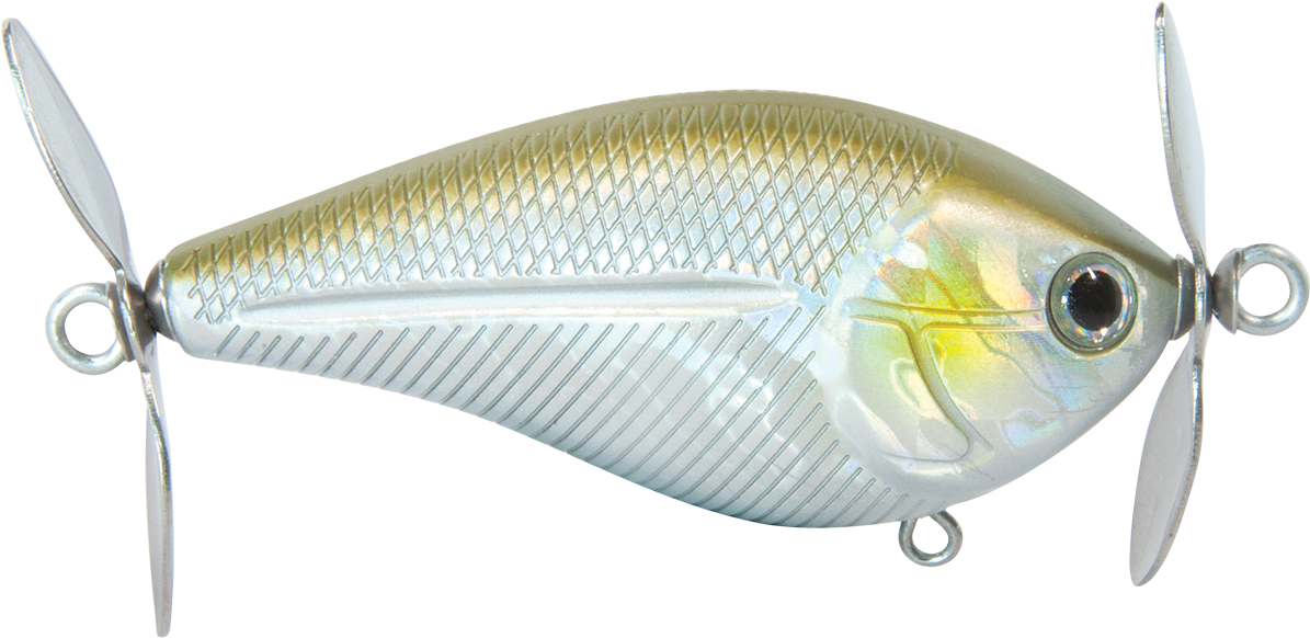 Spinmaster - Bait Fish Clipart (1200x900), Png Download