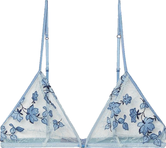 “savage X Feny Bralette - Brassiere Clipart (684x609), Png Download