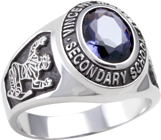 Ring One - Pre-engagement Ring Clipart (600x600), Png Download