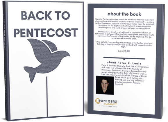 Back To Pentecost - Seabird Clipart (1000x667), Png Download