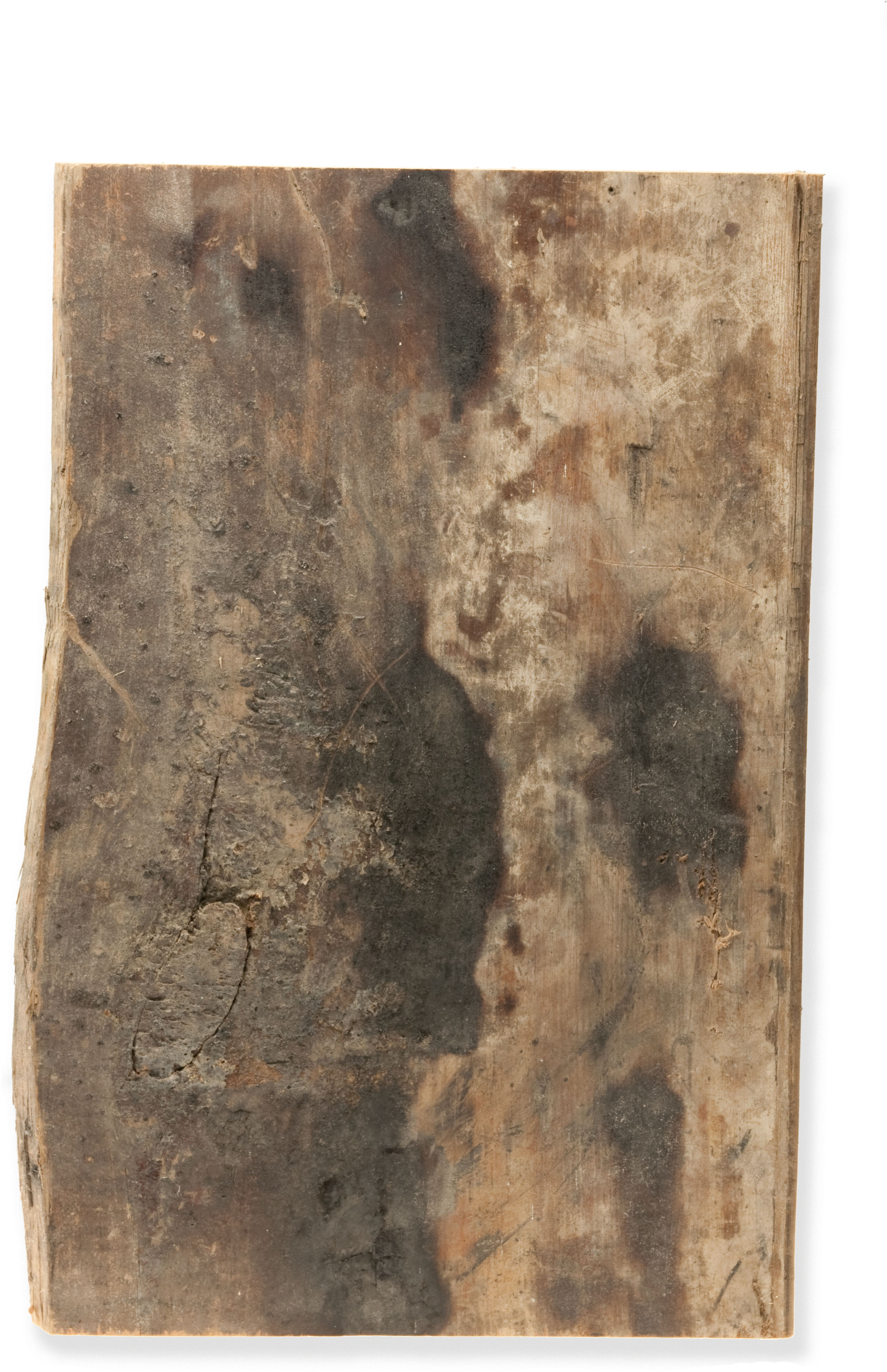 File - Ns-sjsanglican - Still Life Clipart (2336x3504), Png Download