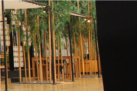 Furry Blacklight - Photographic Paper Clipart (1920x1280), Png Download