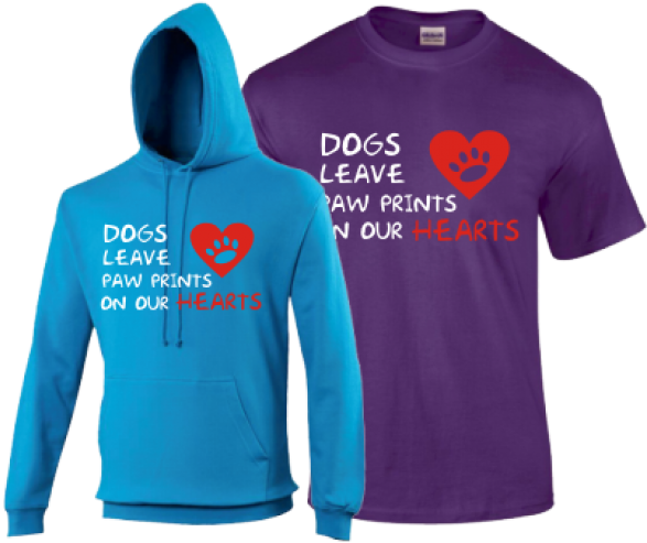 Hoodie Clipart (600x600), Png Download