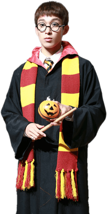 Download - Dk Seventeen Harry Potter Clipart (500x750), Png Download