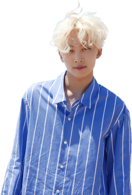 Jeonghan Sticker - Mingyu At The Beach Clipart (737x737), Png Download