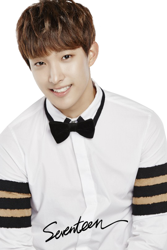 54 Images About Seventeen Png On We Heart It - Dk Of Seventeen Clipart (540x810), Png Download