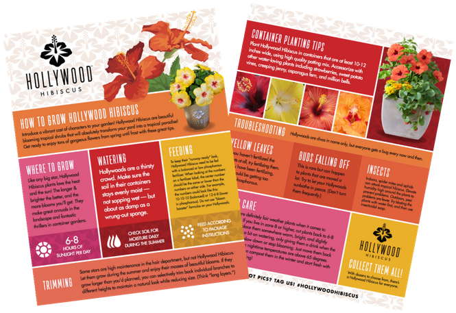 If You Don't See The Email With The Link, Please Check - Flyer Clipart (720x474), Png Download