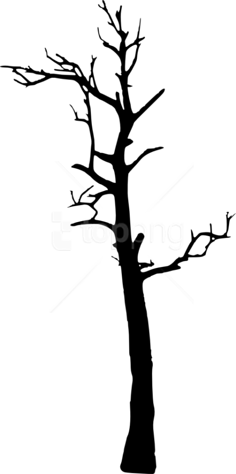 Free Png Dead Tree Silhouette Png Images Transparent - Portable Network Graphics Clipart (480x962), Png Download