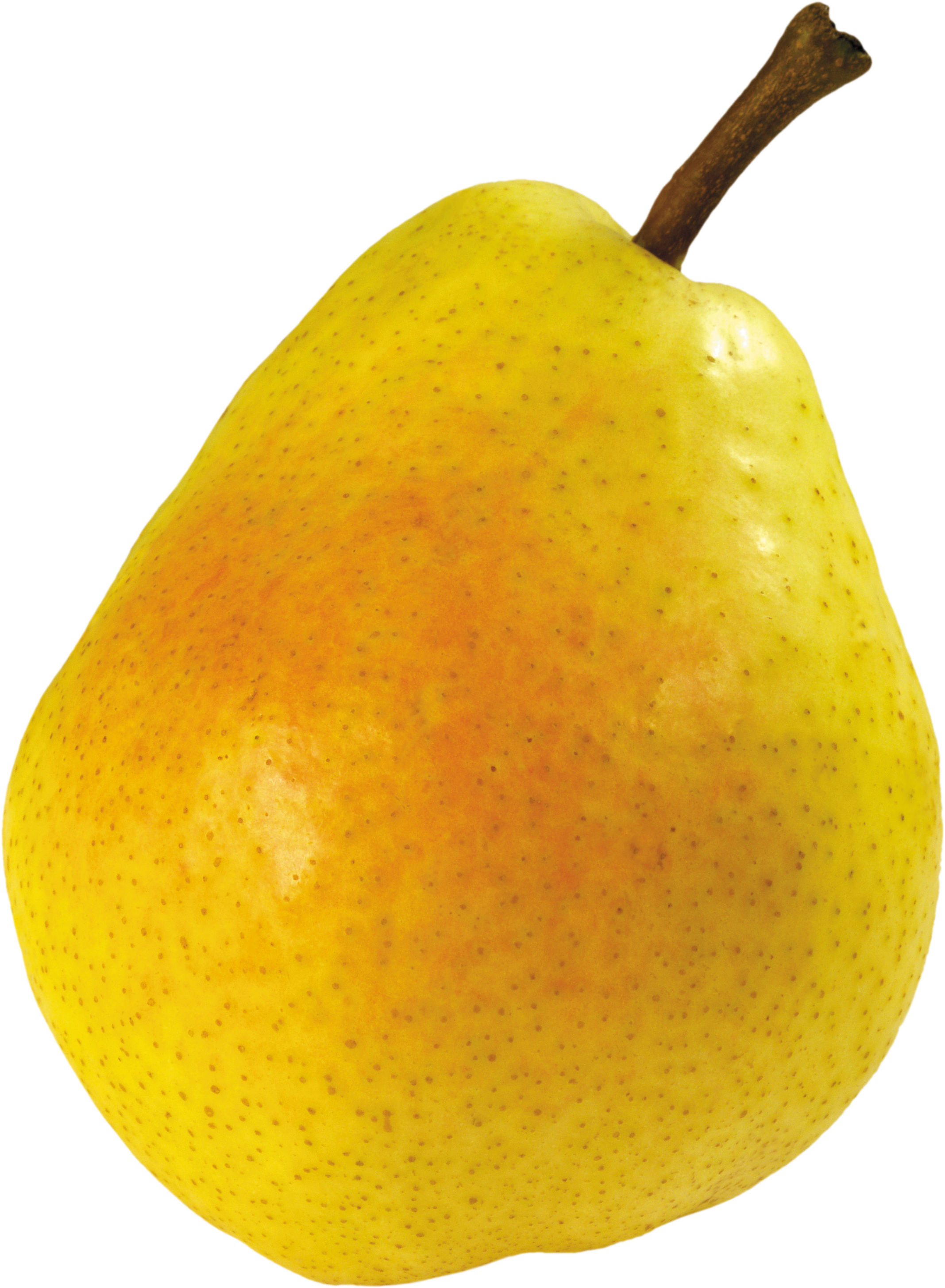 Ripe Pear Png Image - Груша Пнг Clipart (2135x2909), Png Download