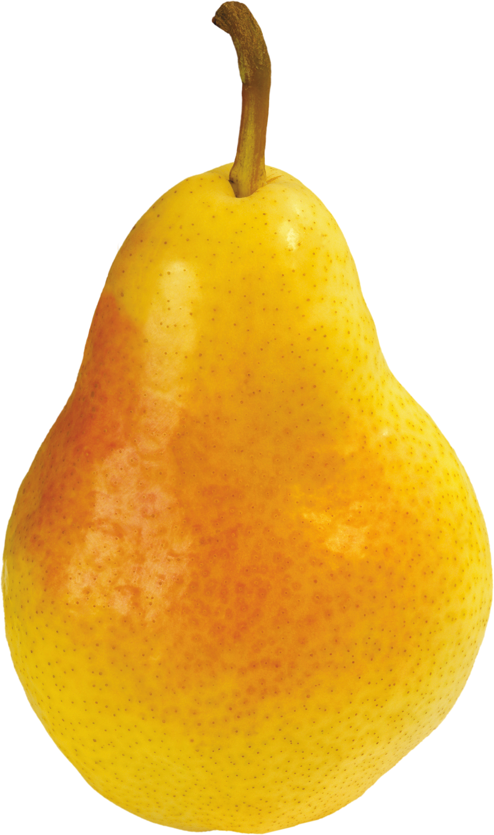 Download - Orange Pear Png Clipart (2042x3453), Png Download