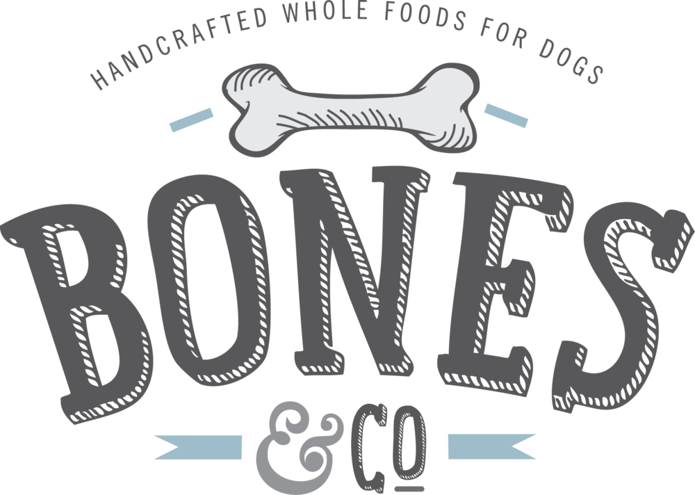 1000 X 712 6 - Dog Brands Logo Clipart (1000x712), Png Download