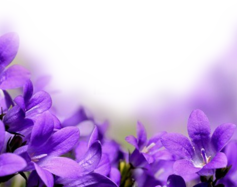 759 X 600 6 - Purple Flowers Borders Png Clipart (759x600), Png Download