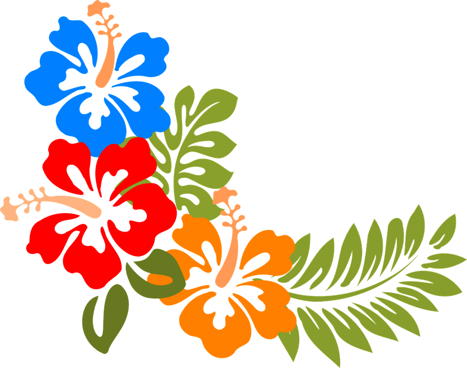Hibiscus, Hawaii, Flowers, Tropical, Colorful, Spring - Tropical Clip Art - Png Download (913x720), Png Download