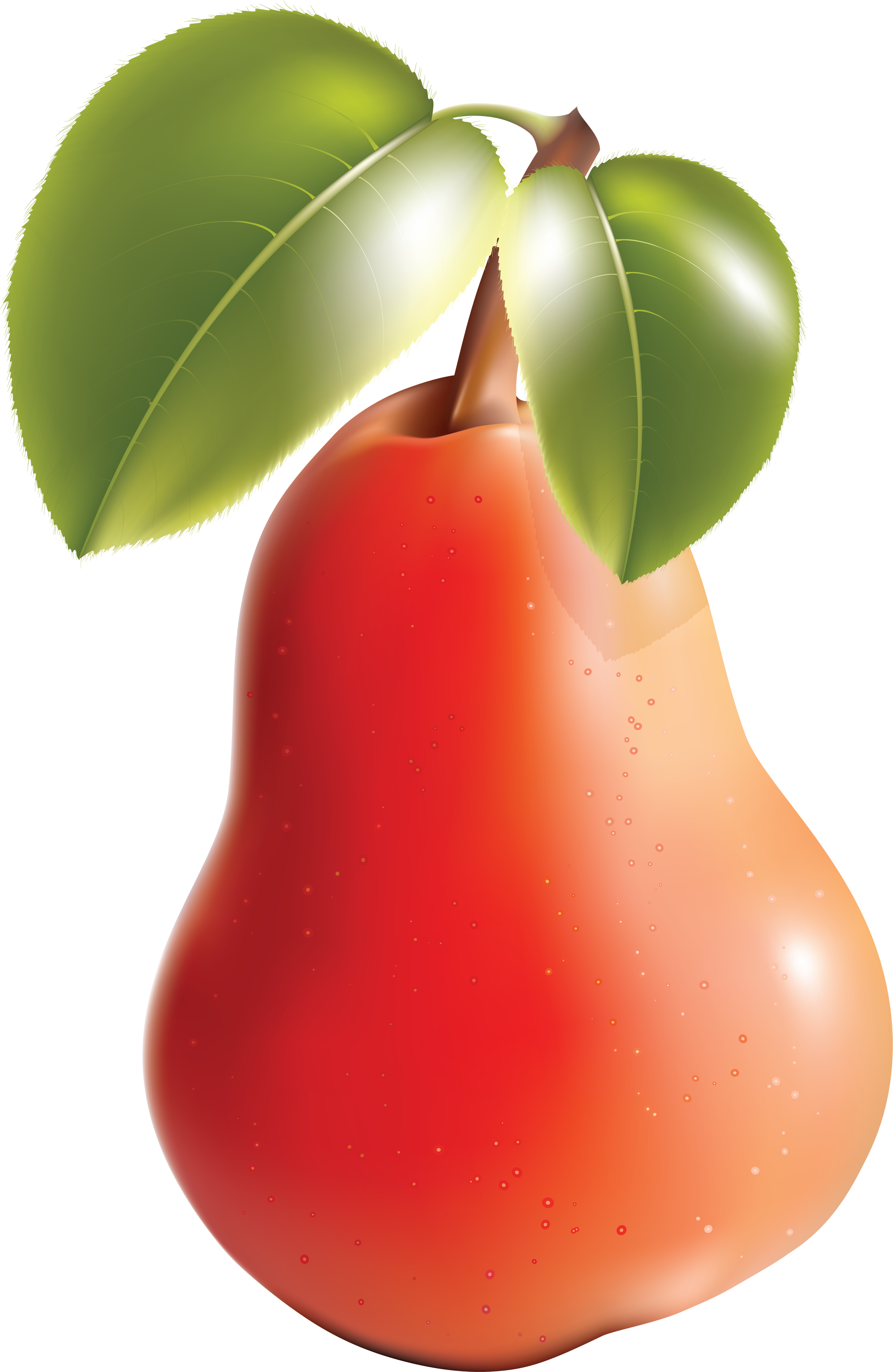 Fruit Clipart (2335x3584), Png Download