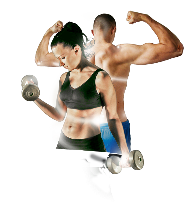 Tag Archives - Gym Workout Image Png Clipart (589x644), Png Download