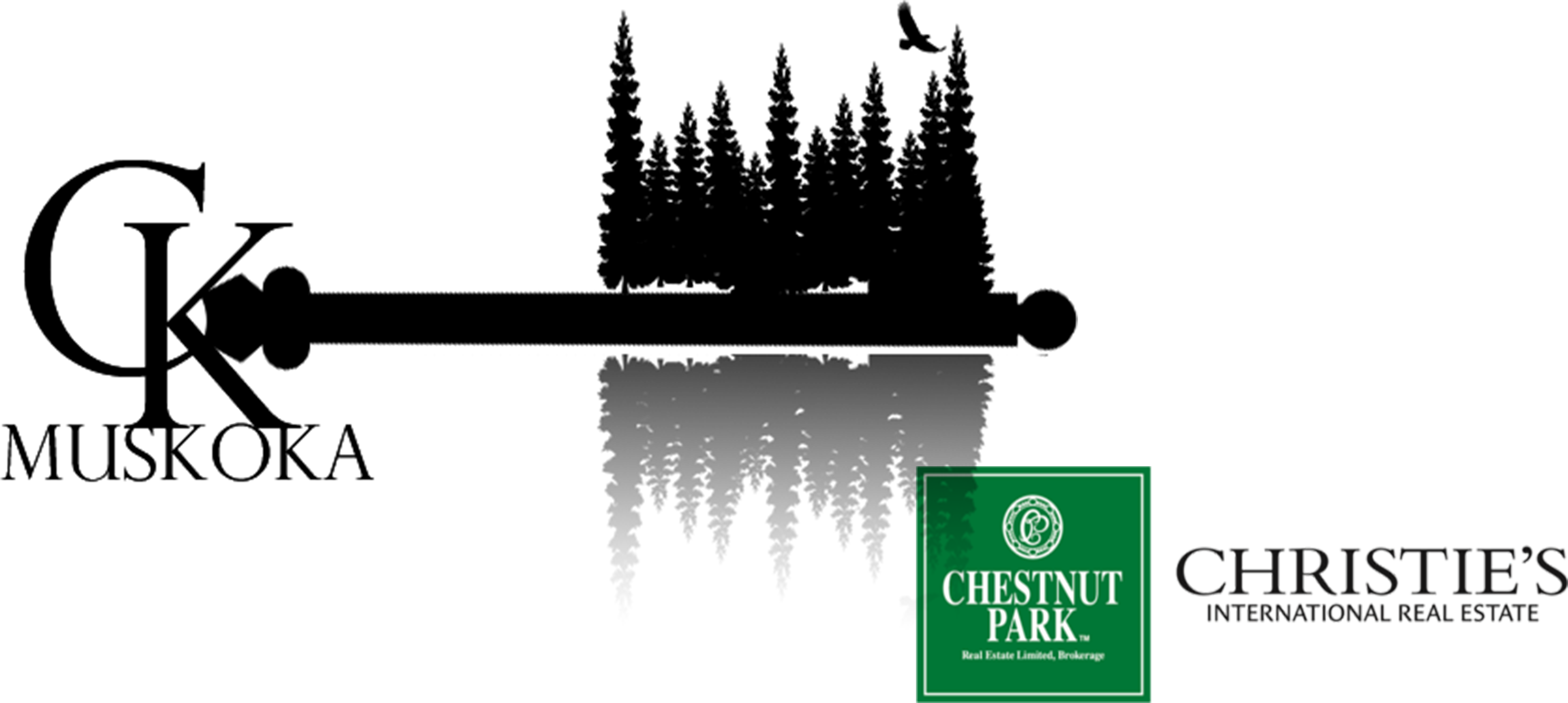Cam & Karen White Real Estate Muskoka - Christmas Tree Clipart (5765x2586), Png Download