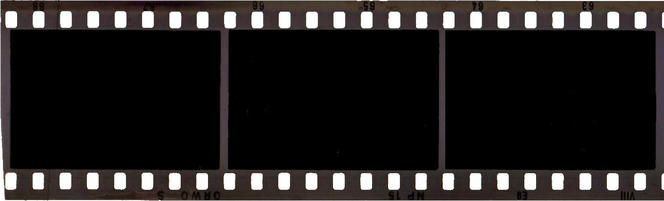 Picture Freeuse Download Filmstrip Png Onlygfx Com - Photographic Film Clipart (1360x412), Png Download
