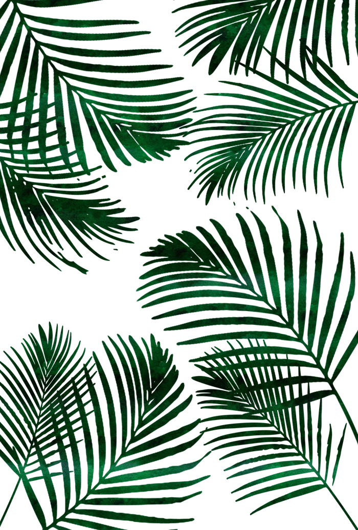 700 X 1036 16 - Palm Leaves Beach Towel Clipart (700x1036), Png Download