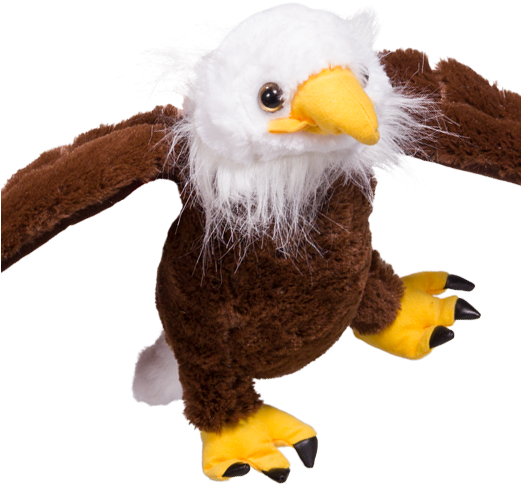 Bald Eagle Clipart (520x600), Png Download
